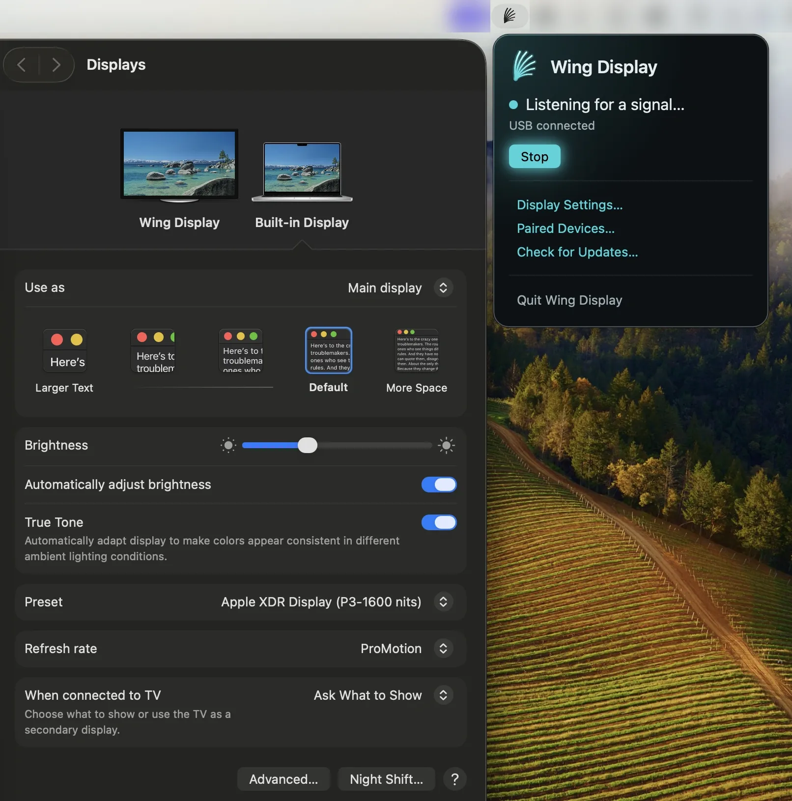 Wing Display screenshot showing the app interface