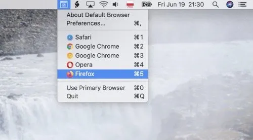 DefaultBrowser screenshot showing the app interface